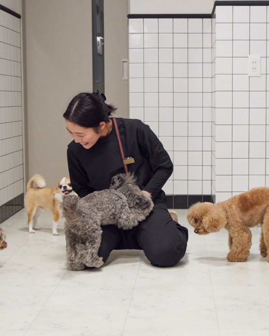 愛犬と向き合う受講生
