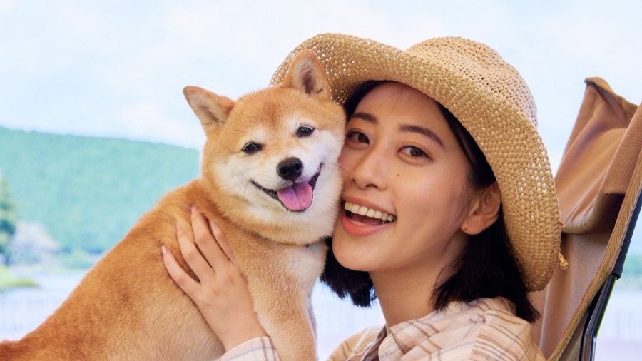 ペットケア総合 講座