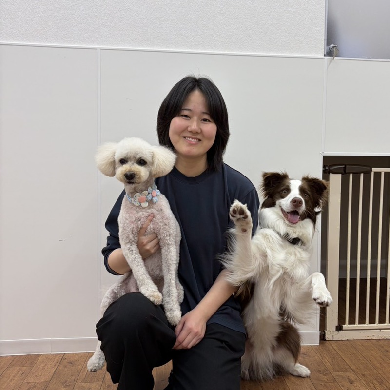 ドッグトレーナー 養成講座