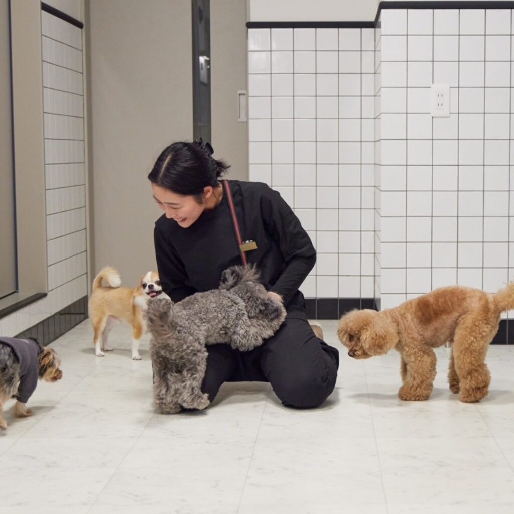 犬の保育士インストラクター 養成講座