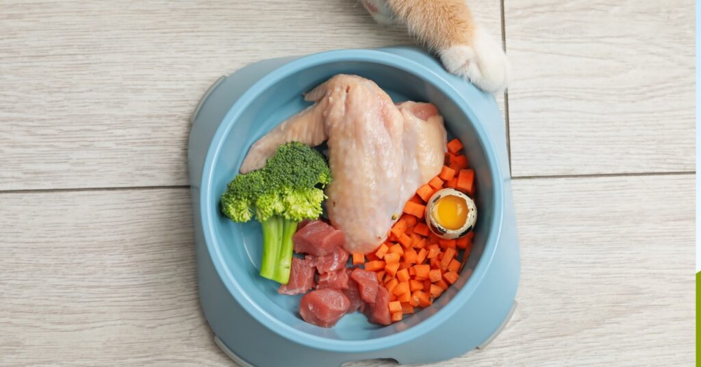 犬猫栄養学アドバイザー 講座