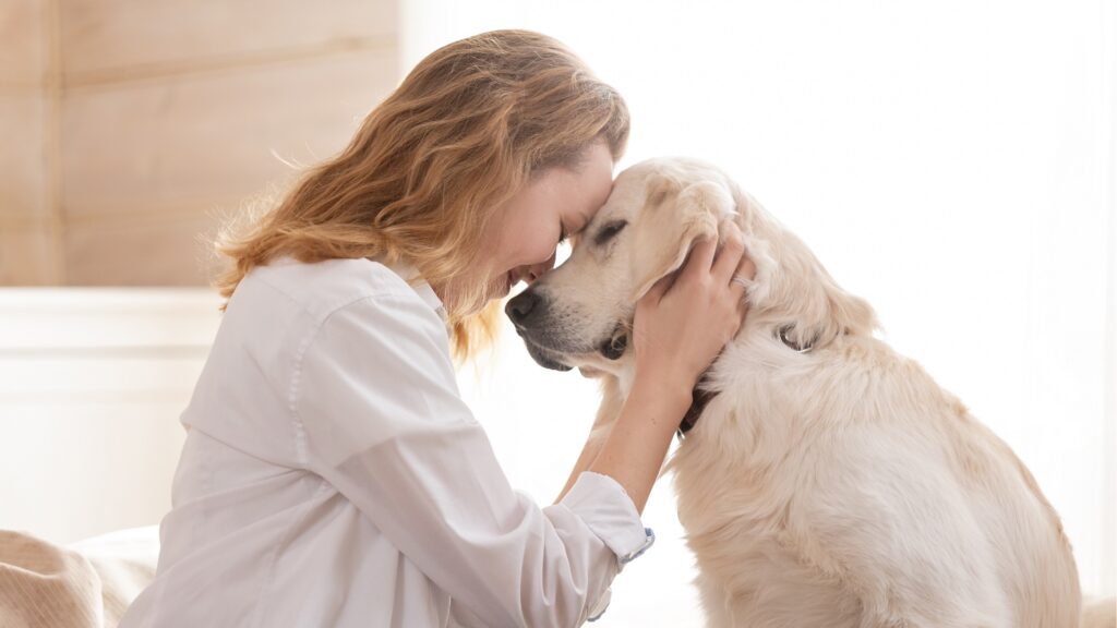 老犬介護アドバイザー 講座